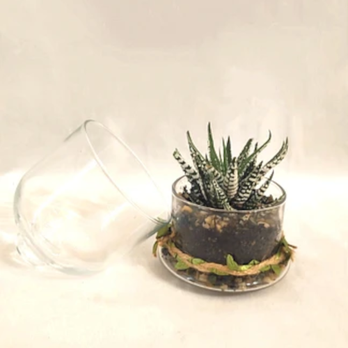 terrarium - gadget aziendale sostenibile